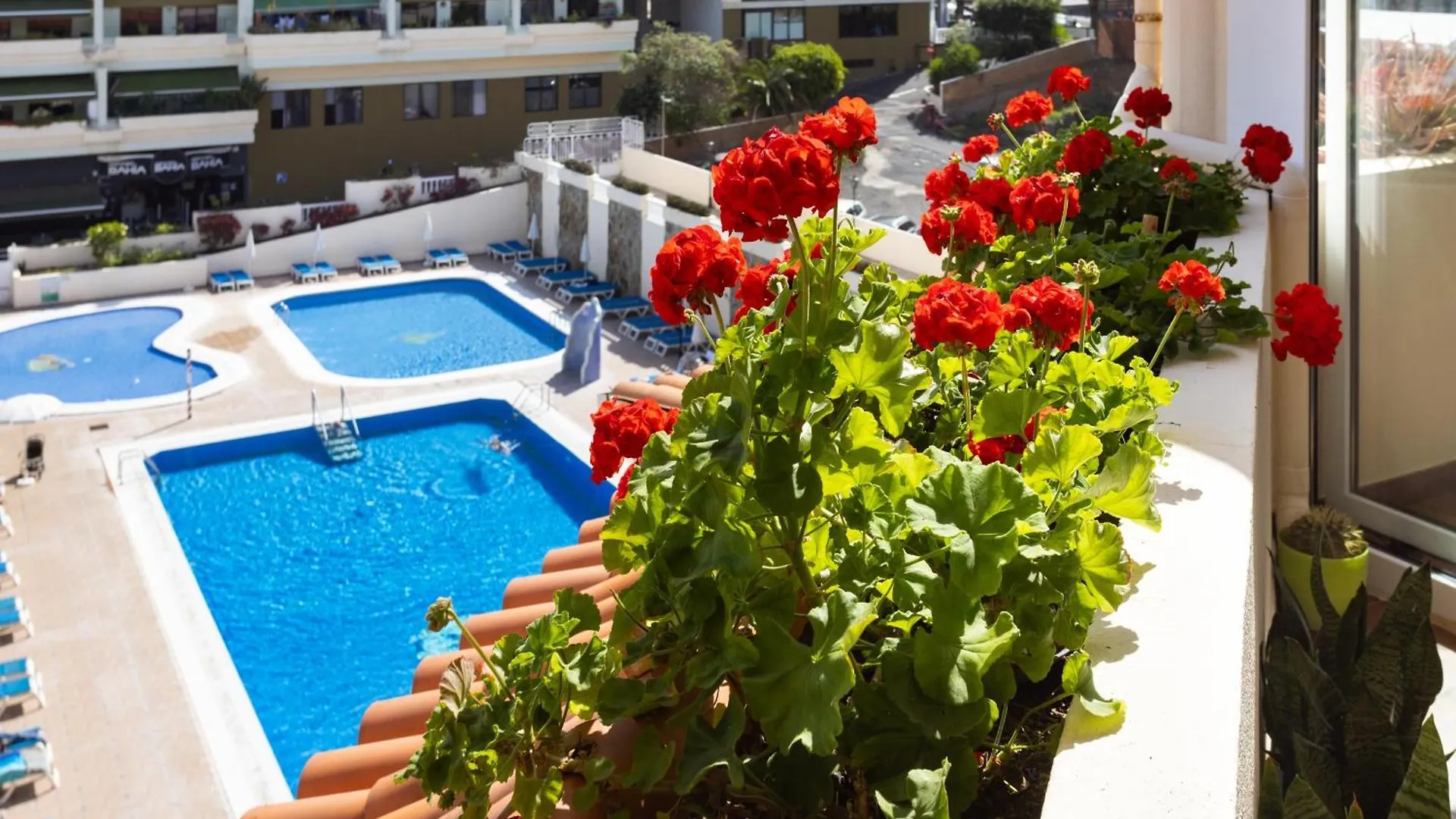 Appartamento Apartamento Con Vistas Al Oceano Puerto de la Cruz  Spagna